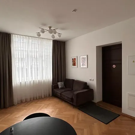 Vyduno Apartamentai דירה